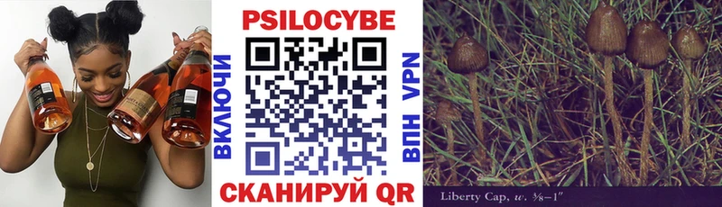 Псилоцибиновые грибы Psilocybine cubensis  Каргат 